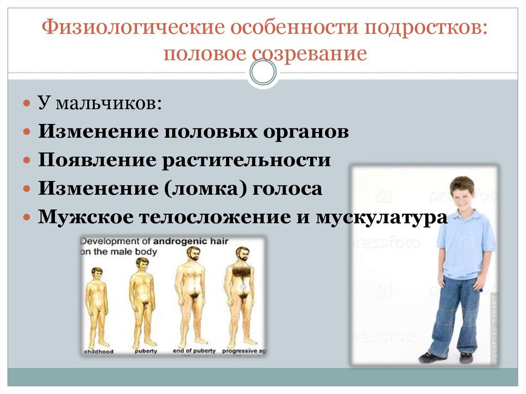 Половое созревание презентация